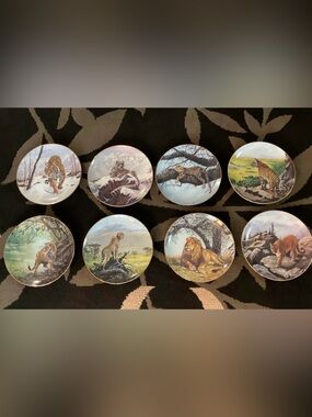 The Hamilton Collection Plates “Big Cats of the World'  by Douglas A Manning